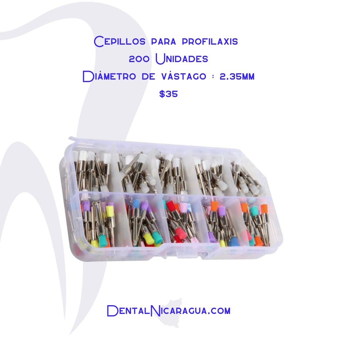 Cepillos para Profilaxis dental 200 Unidades