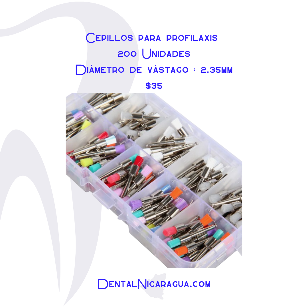 Cepillos para Profilaxis dental 200 Unidades